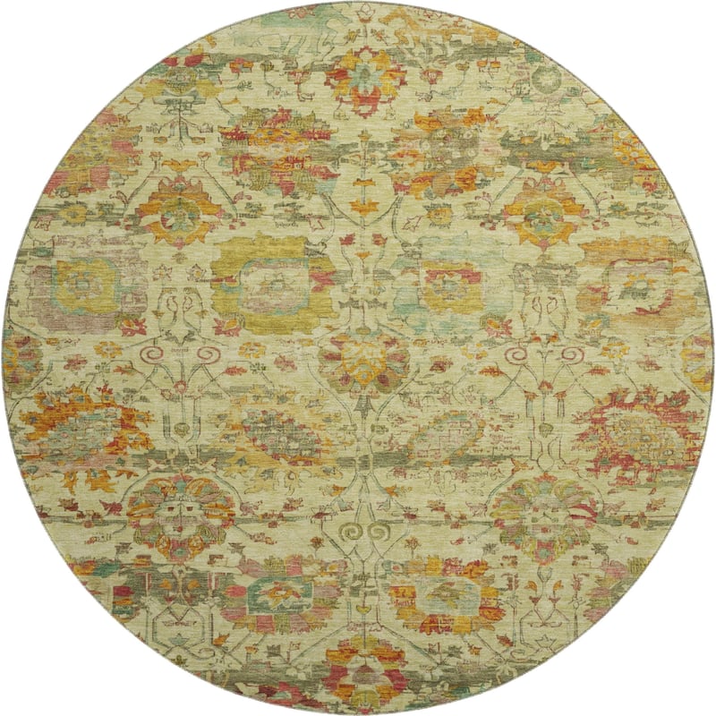 Premium Washable Super Soft Traditional Mayfield Rug