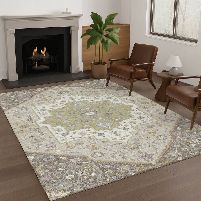 Machine Washable Indoor/ Outdoor Traditional Kolkata Chantille Rug
