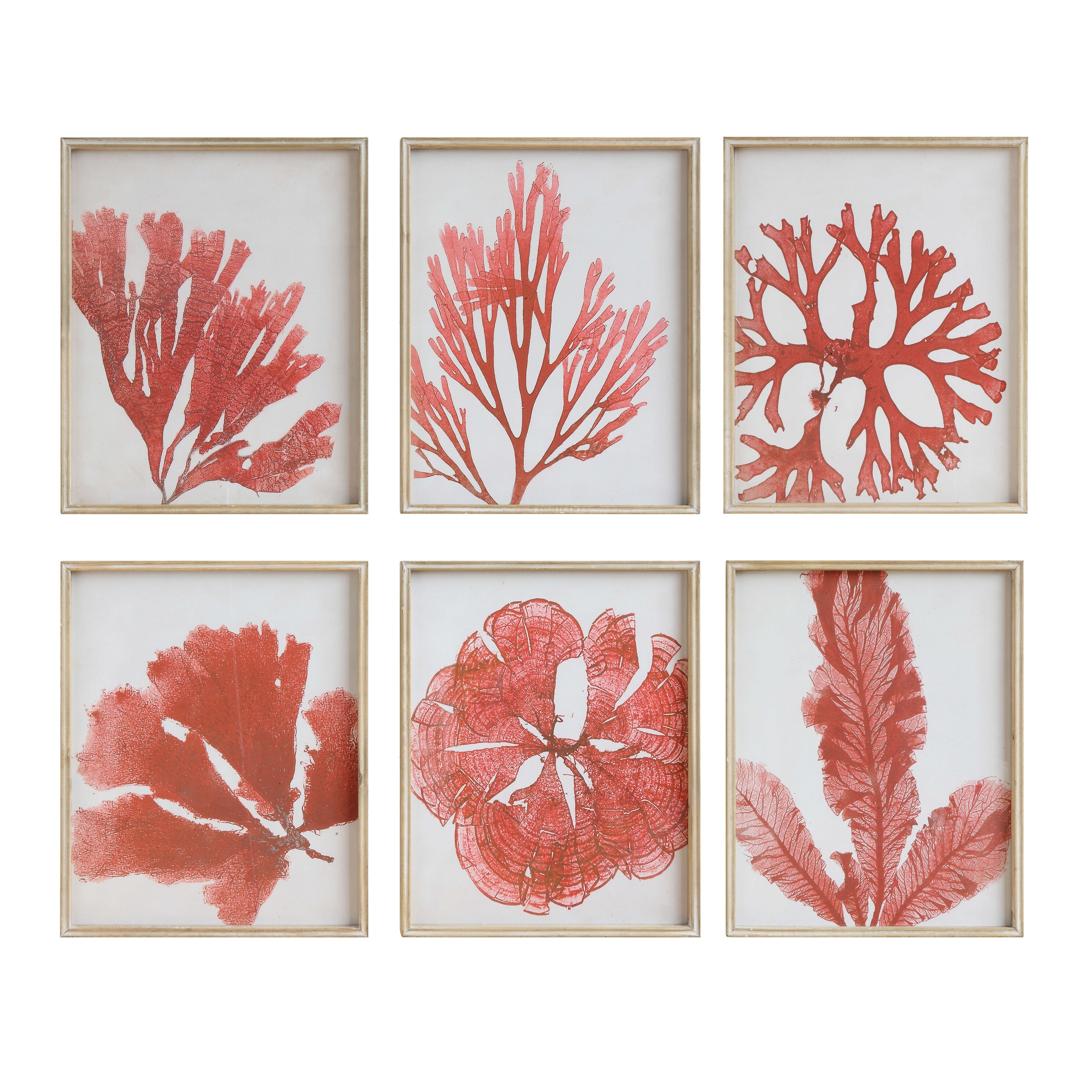 Shop Coral Image Wall Decor With Wood Frame Set Of 6 Designs
