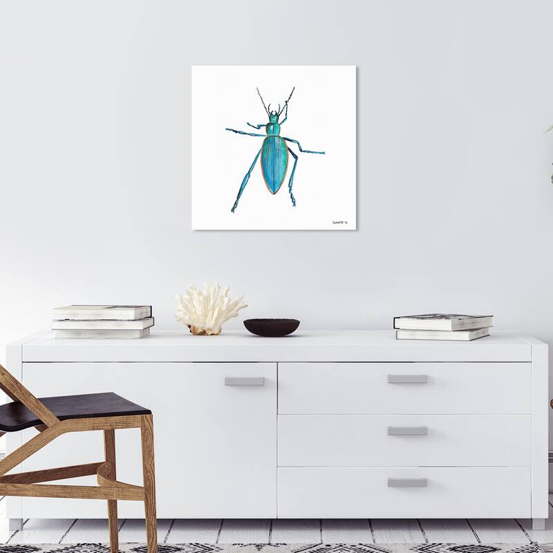 Wynwood Studio Canvas Animals Turquoise Bug Blue and Turquoise Rustic Wall Art Canvas Print - 20 x 20