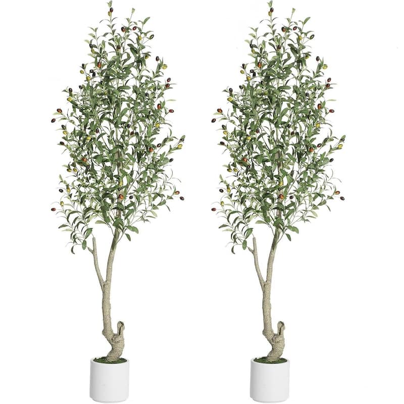 2 Pack Artificial Indoor Faux Olive Tree with White Planter - 6ft