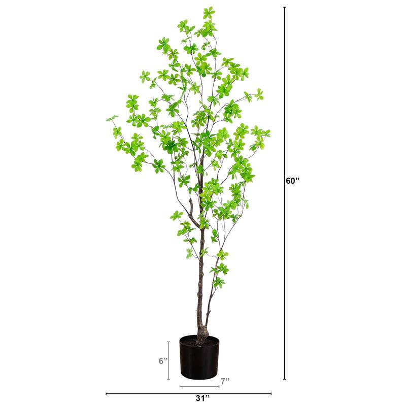 Minimalist Enkianthus Artificial Potted Tree - 5'