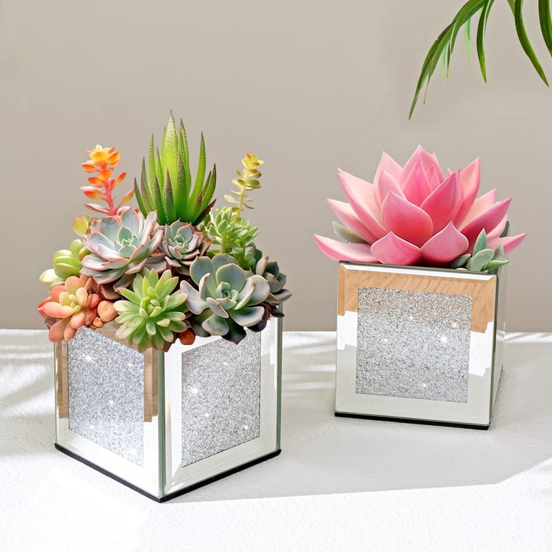 Square Mirrored Glass Table Vase (Set of 6)