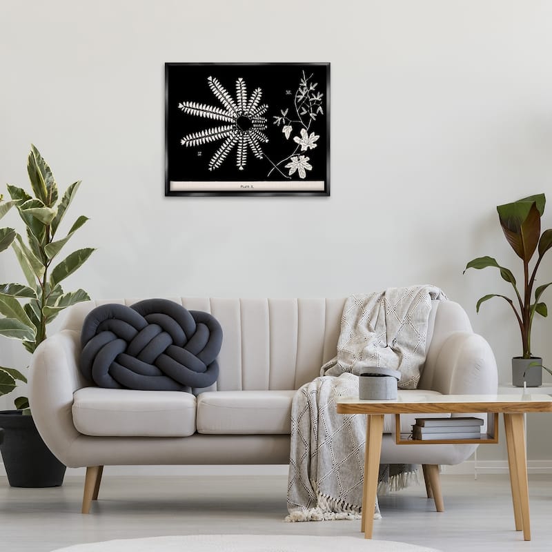 Stupell Ferns & Leaves on Black Framed Floater Canvas Wall Art Design By Phillipa Katz