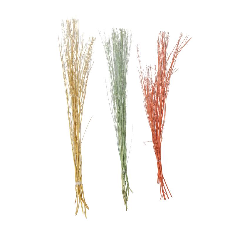 Multi colored, White Brown or Light Brown Dried Plant Pigeon pea Natural Foliage (Set of 2)