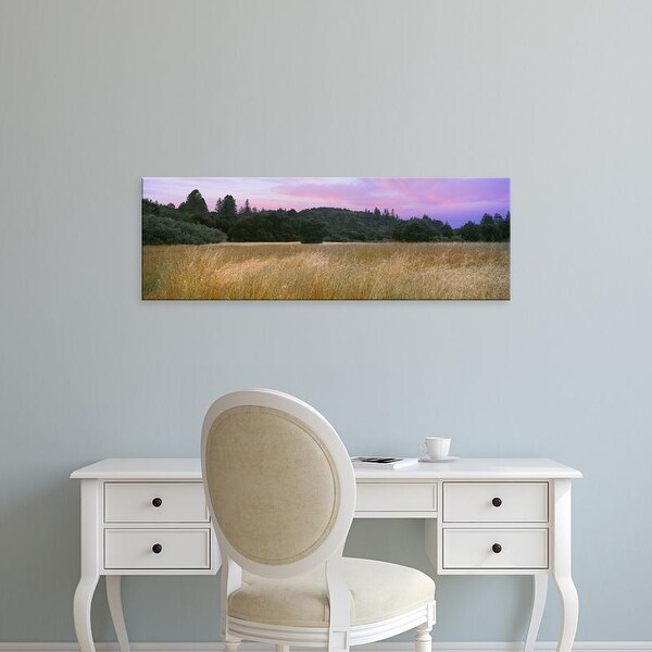 Easy Art Prints Panoramic Images's 'Sunset, Quail Hollow Ranch County Park, Felton, Santa Cruz, California' Canvas Art