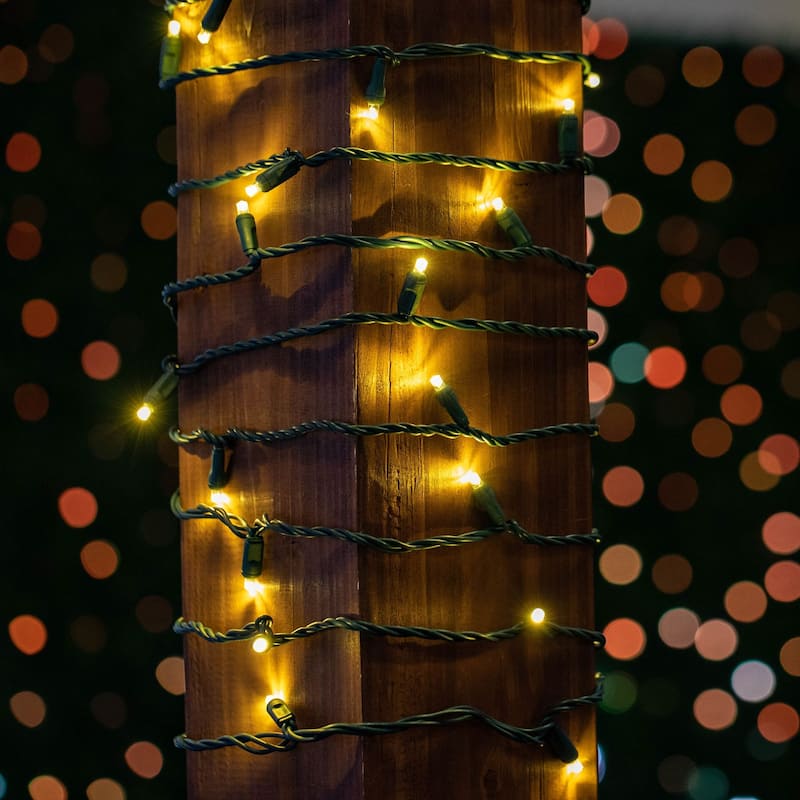 50 Light LED Christmas Mini Light Set, Patio Lights, Warm White, Green Wire, 11’