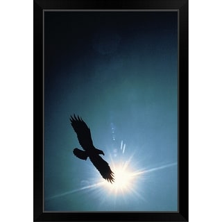 Shop Silhouette Of Bald Eagle Flying In Sky Black Framed Print On Sale Overstock 30208001 Eagle flight eagle flight symbol bird icon emblem decoration animal falcon element decorative background flying outline wildlife hawk template artistic wing feather wings flag usa wild silhouette ornament power sketch america ornate majestic style nature beak star united fly sign head nation. overstock com online shopping bedding furniture electronics jewelry clothing more