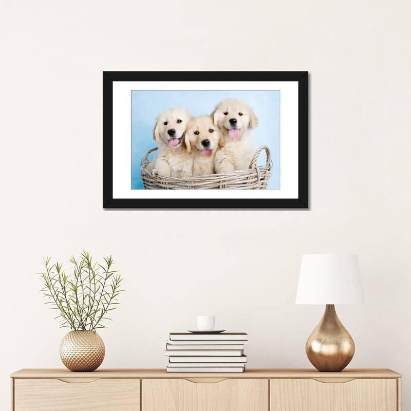 iCanvas "Buffy, Biskit, And Beau" by Rachael Hale