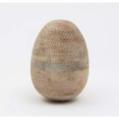 Medium Whitewashed Enchanted Easter Egg Decoration - 6” - Brown