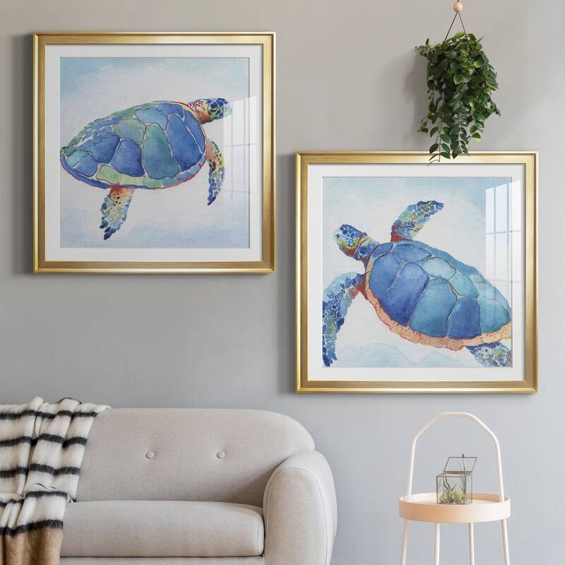 Galapagos Sea Turtle I Premium Framed Print - Ready to Hang
