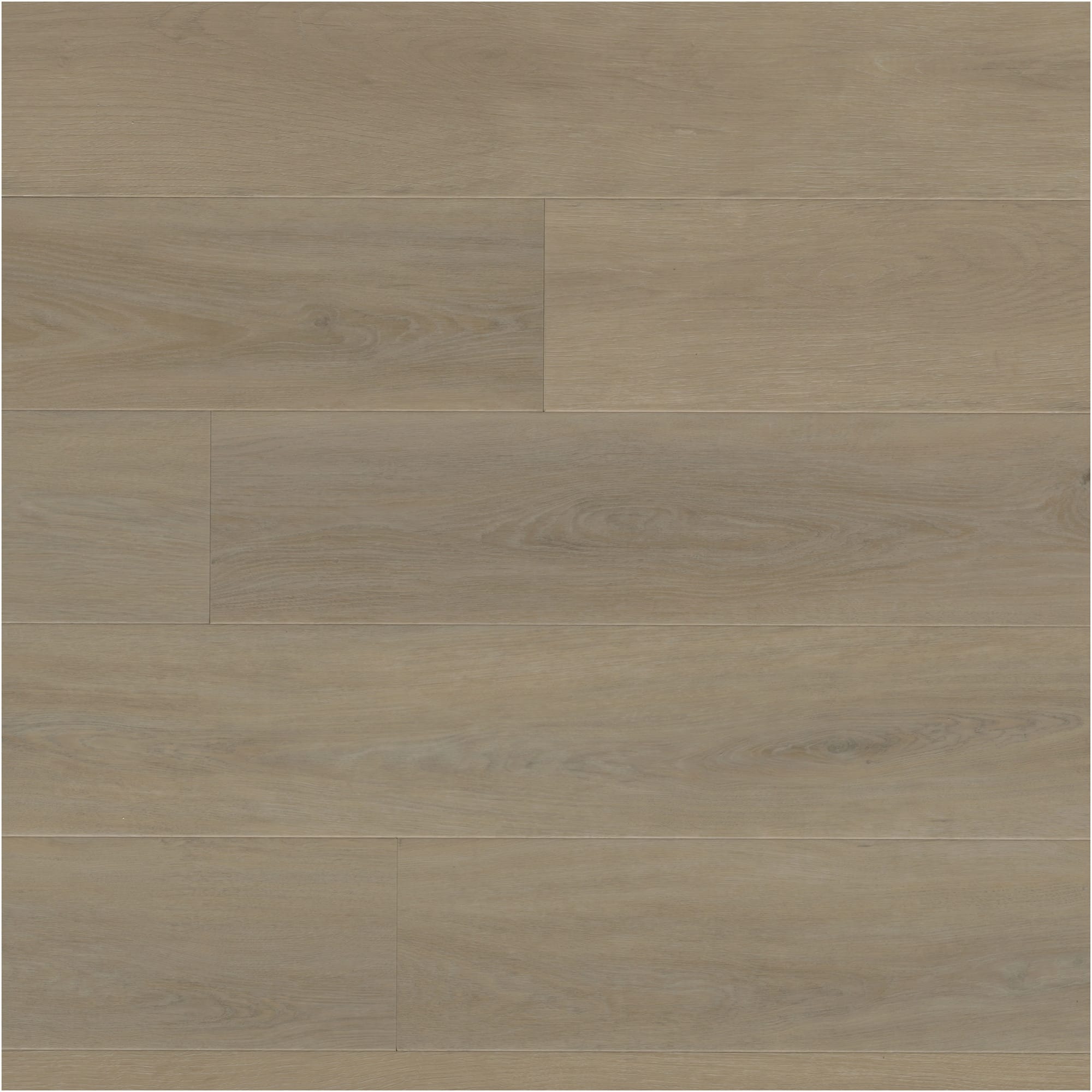Option Willowleaf