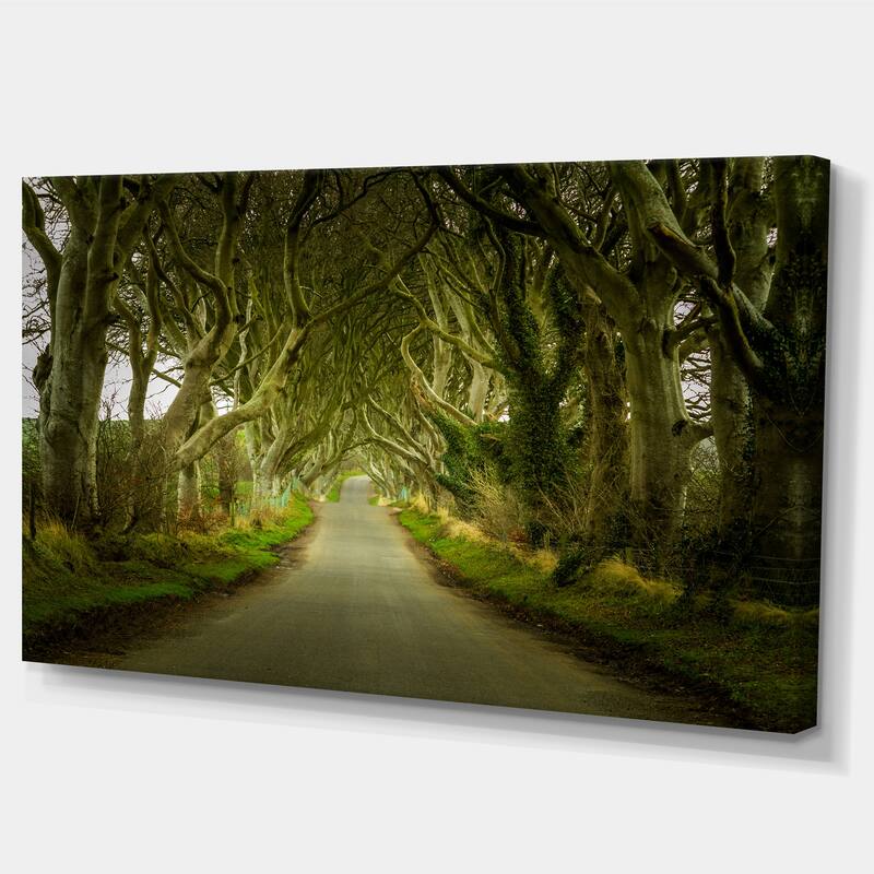 Designart "Dark Hedges Road through Old Trees" Landscape Wall Artwork Print on Canvas