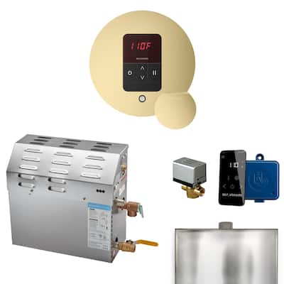 Mr Steam R05C1AAH0000 MS 5 kW (5000 W) Steam Shower Generator Package