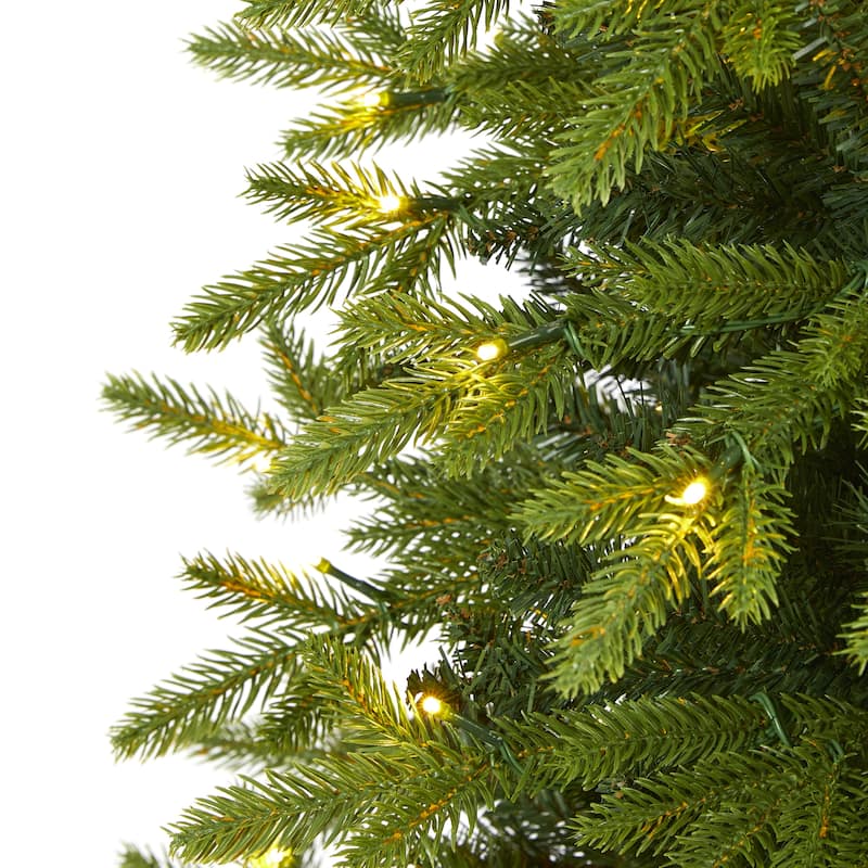 6’ Pre-Lit Belgium Fir Artificial Christmas Tree, Warm Clear LED Lights - 6 Foot