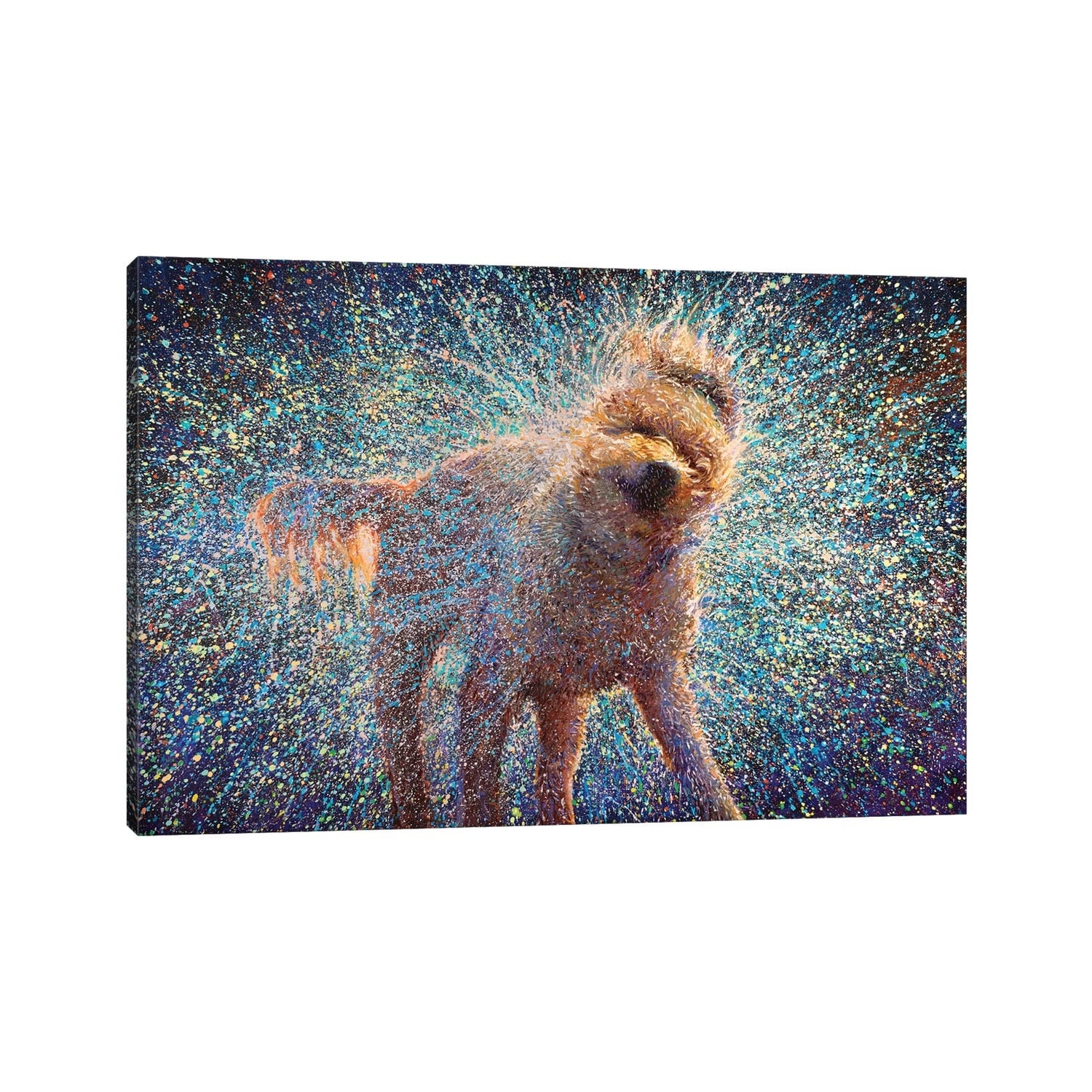 iCanvas "Canis Rufus" by Iris Scott Canvas Print