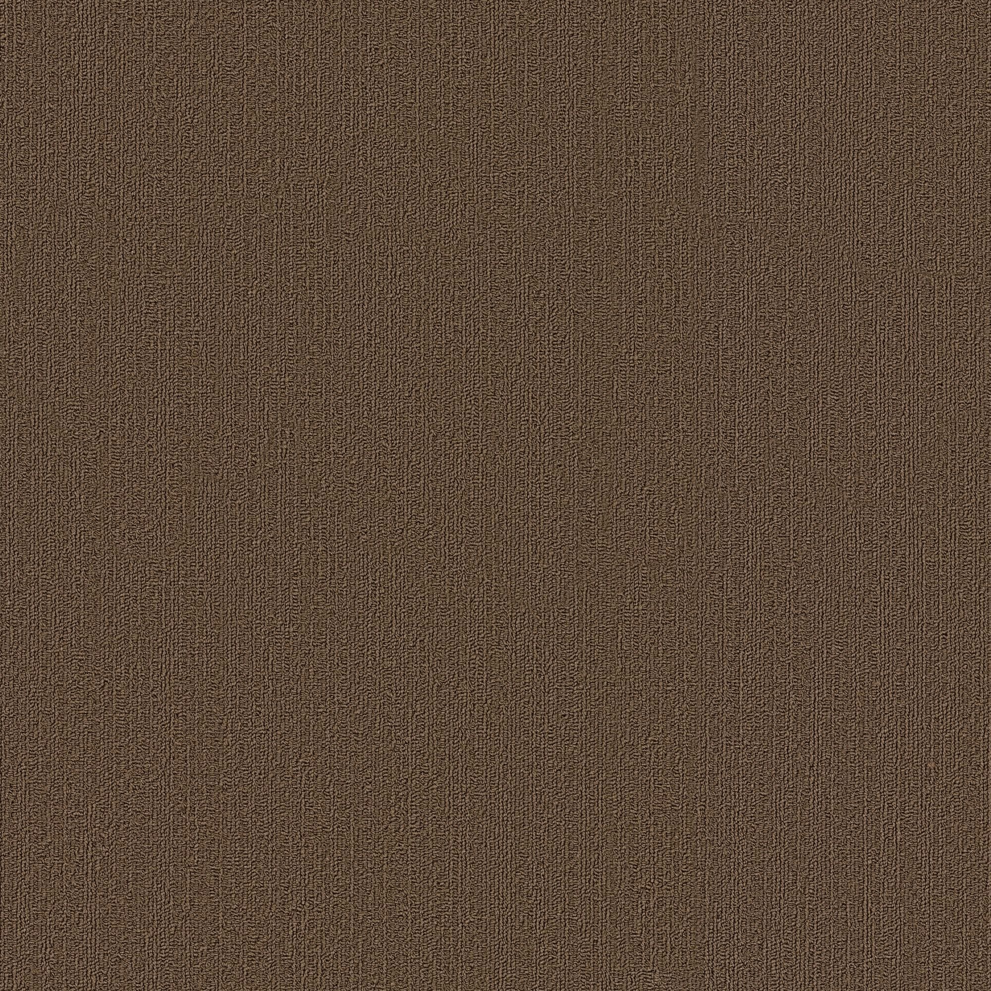 Shaw Philadelphia Commercial Color Accents TL 24" x 24" Glue Down