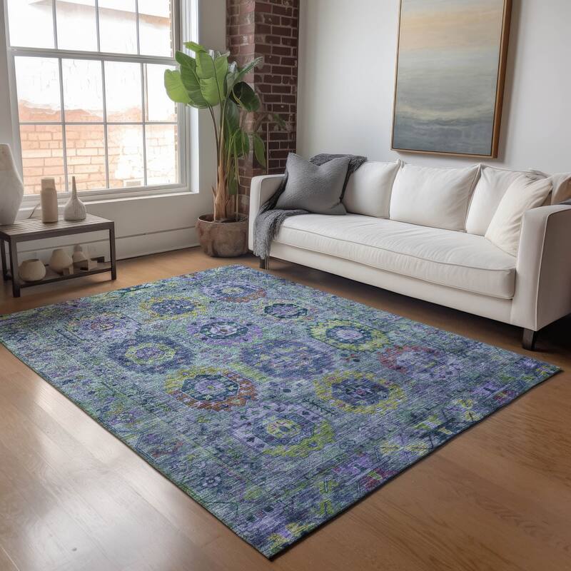 Machine Washable Indoor/ Outdoor Boho Vintage Chantille Rug
