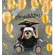 preview thumbnail 4 of 3, DolliBu Black Bear with Red Plaid Outfit Graduation Plush Toy - 9 inches