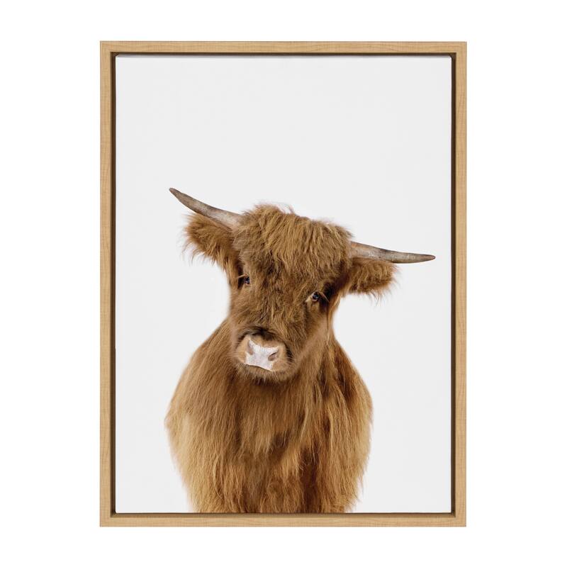 Sylvie Baby Highland Calf Animal Print Framed Canvas by Amy Peterson