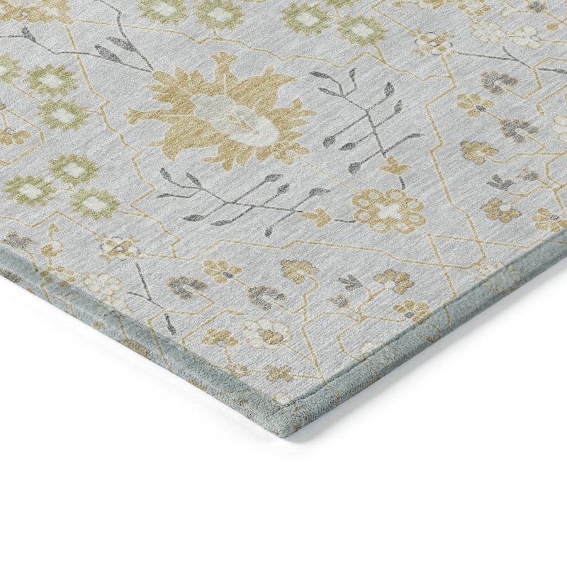 Machine Washable Indoor/ Outdoor Global Traditional Chantille Rug