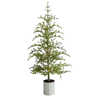 5.5' Pre-Lit Pine Christmas Tree in Decorative Planter with 150 Lights - 5.6