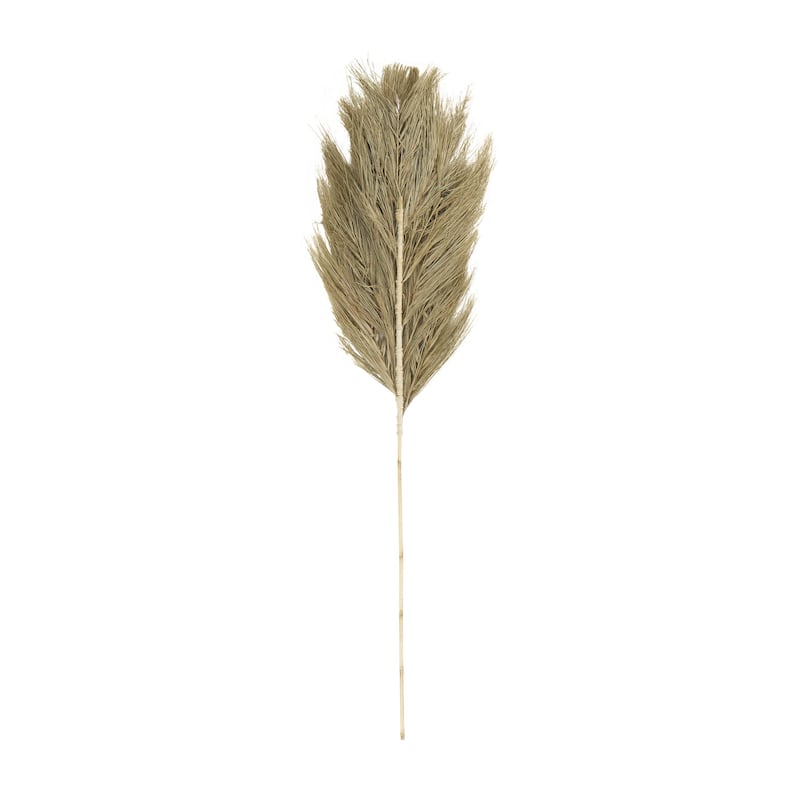 Dried Plant Palm Leaf Tall Home Decor Natural Foliage with Grass - Brown - Roche River Decor