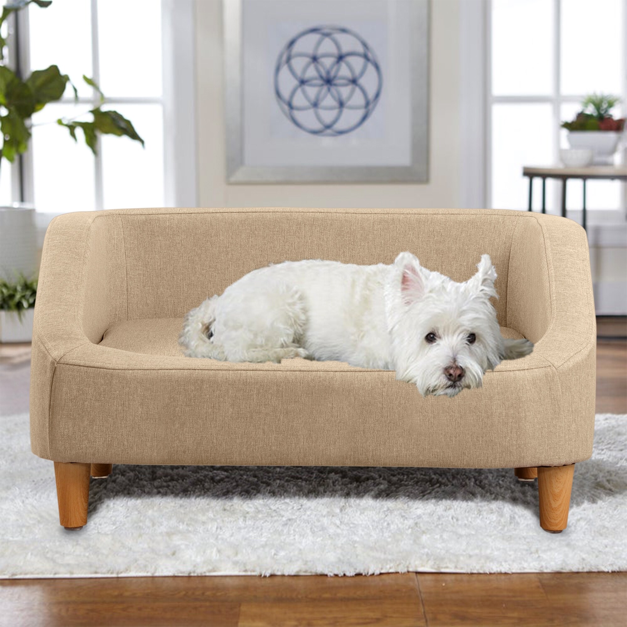 dog sofa canada