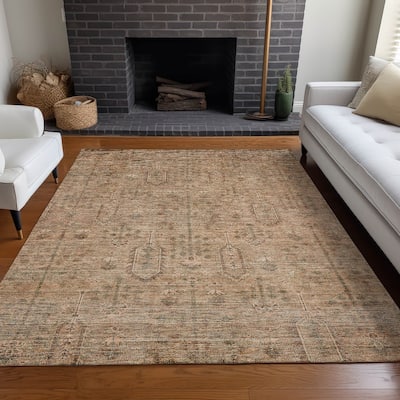 Premium Washable Super Soft Vintage Global Mayfield Rug