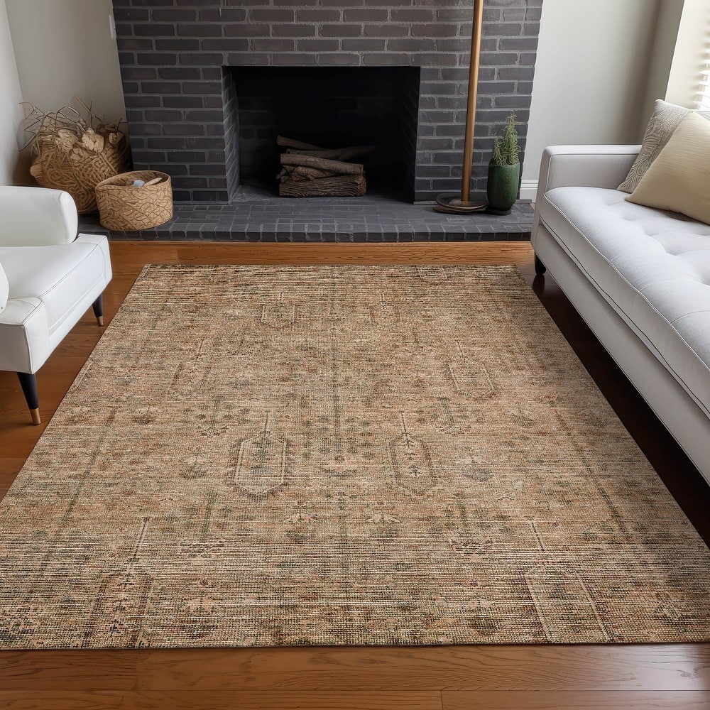 Premium Washable Super Soft Vintage Global Mayfield Rug