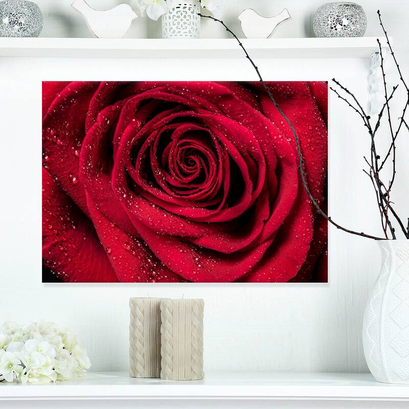 Red Rose Petals with Rain Droplets - Floral Canvas Art Print