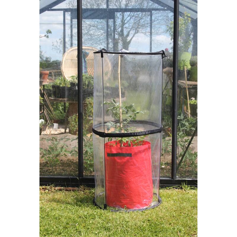 Haxnicks Twist Up Tomato Cloche 19"D x 43"H