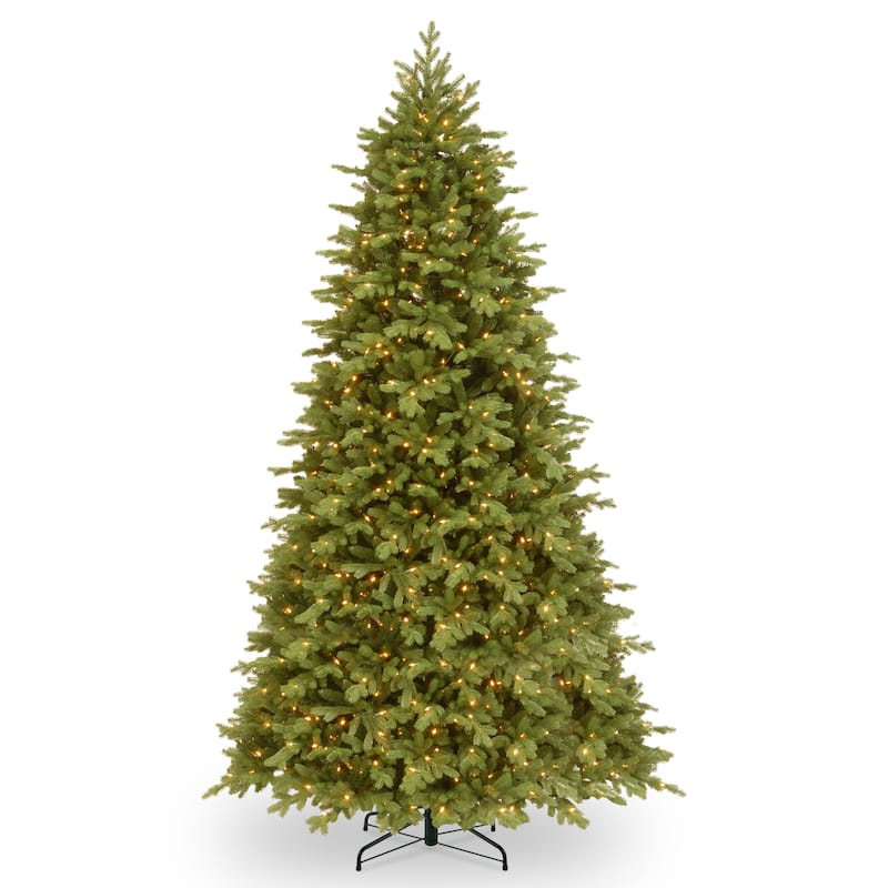 National Tree Company 9 ft. PowerConnect Princeton Fraser Fir with Dual Color LED Lights