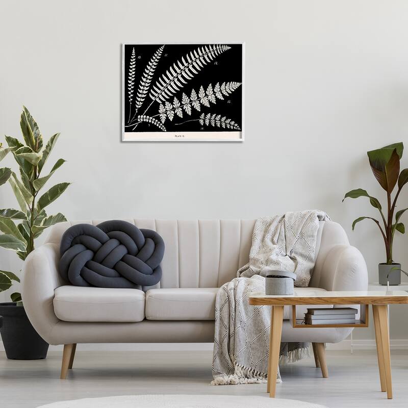Stupell Fern Studies on Black Framed Giclee Art Design By Phillipa Katz