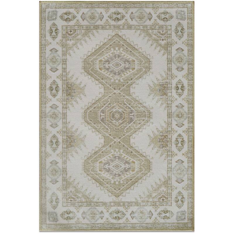 HomeRoots Southwestern Modern, Contemporary Rectangle Area Rug
