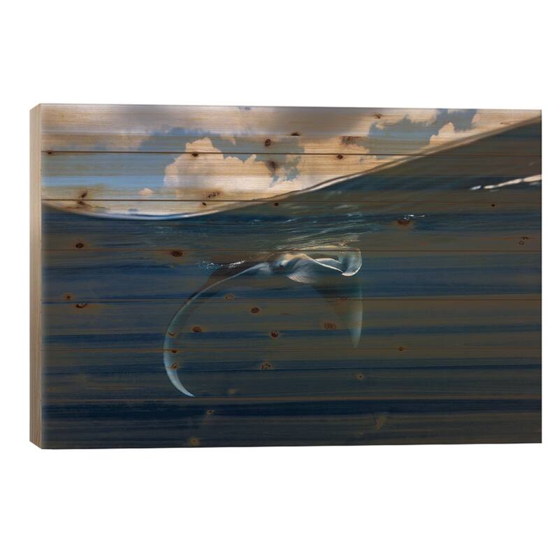 Little Manta Ray Print On Wood by Barathieu Gabriel - Multi-Color - 26x40x1.5