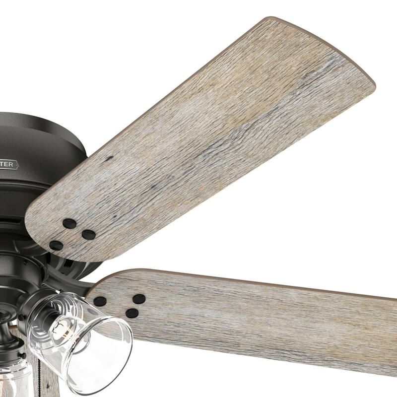 Hunter 52" Shady Grove Ceiling Fan with LED Light Kit/ Pull Chain, Standard or Flush Mount - Casual, Transitional