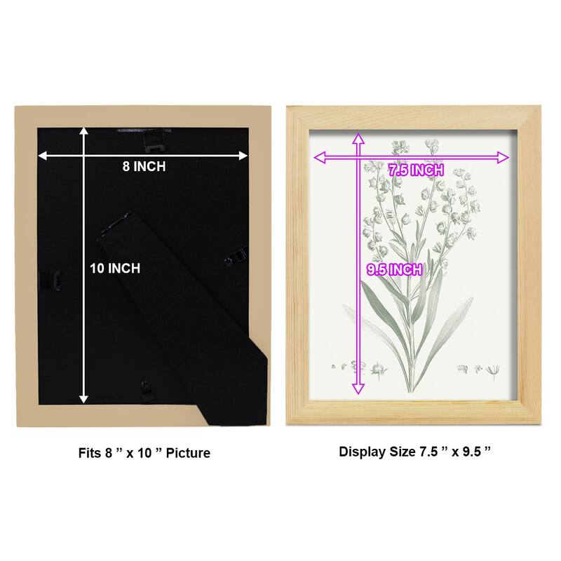 Botanical Study in Sage I -Framed Print w/glass-Cherry Red