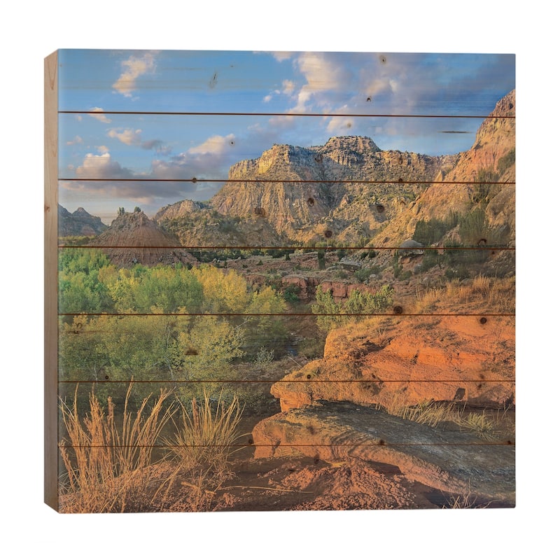 Cottonwood Trees And Mountains, Palo Duro Canyon State Park, Texas Print On Wood by Tim Fitzharris - Multi-Color - 26x26x1.5