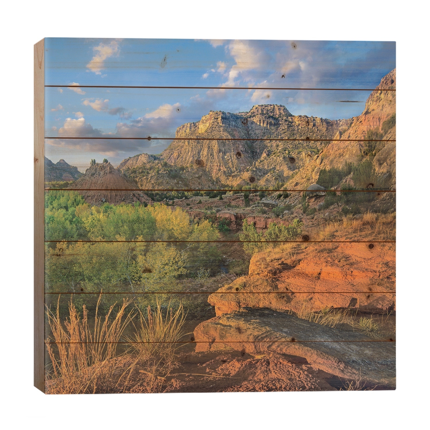 Cottonwood Trees And Mountains, Palo Duro Canyon State Park, Texas Print On Wood by Tim Fitzharris - Multi-Color