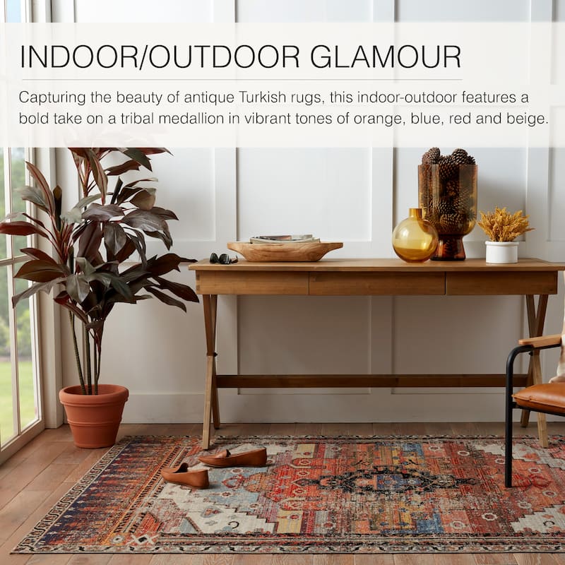Cicero Indoor and Outdoor Medallion Area Rug