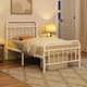 Option White