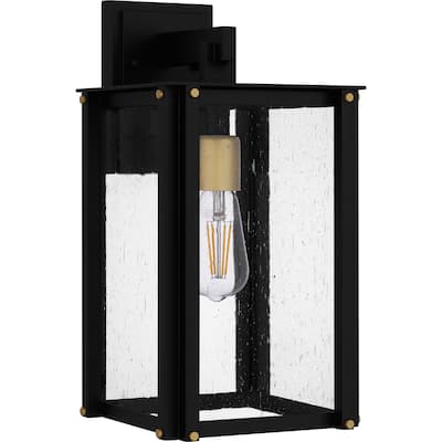 Robbins 1-Light Matte Black Outdoor Wall Lantern