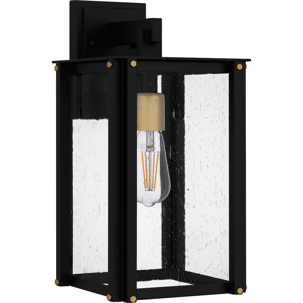 Robbins 1-Light Matte Black Outdoor Wall Lantern