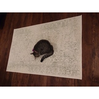 Safavieh Adirondack Dakota Distressed Vintage Boho Oriental Rug