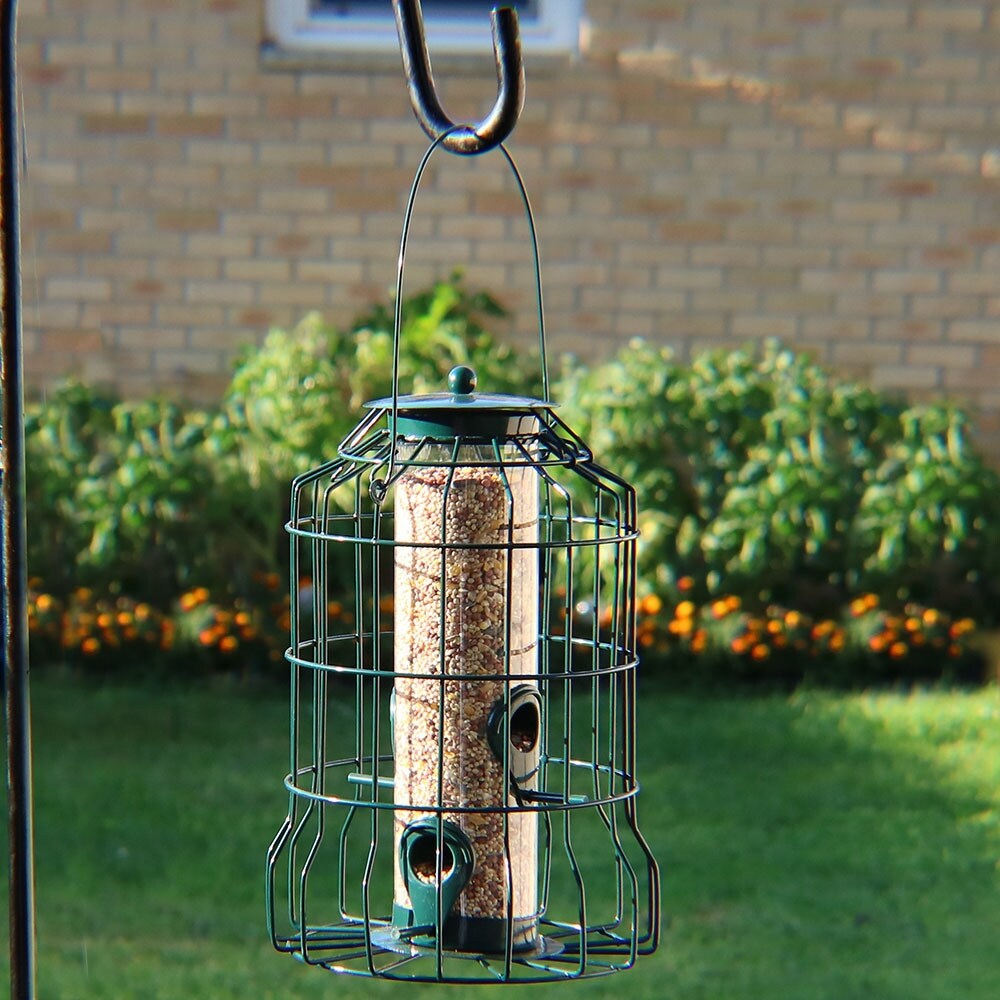 Shop Sunnydaze 10 Inch Green 4 Peg Outdoor Wild Bird Feeder With