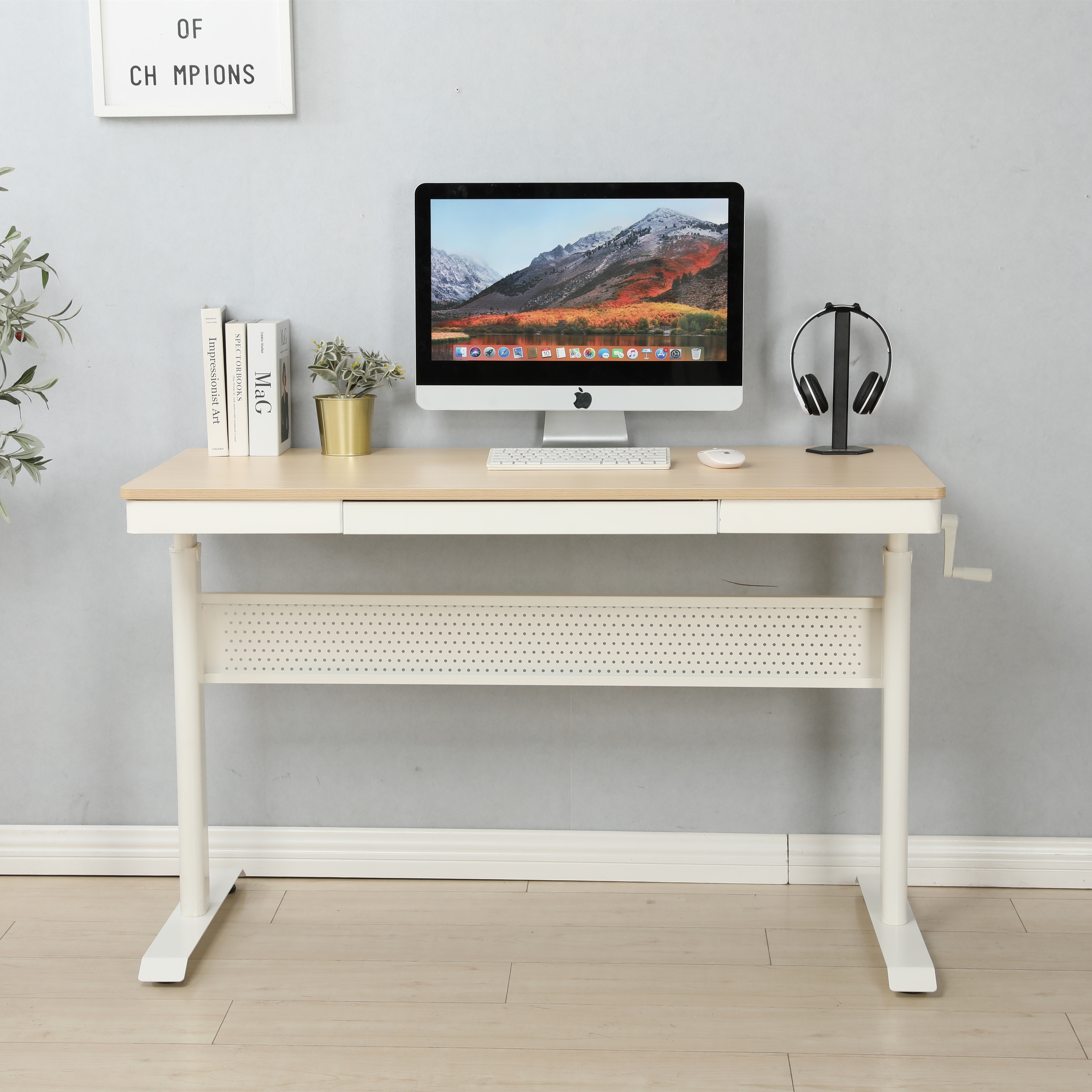 Standing Desk Ergonomics