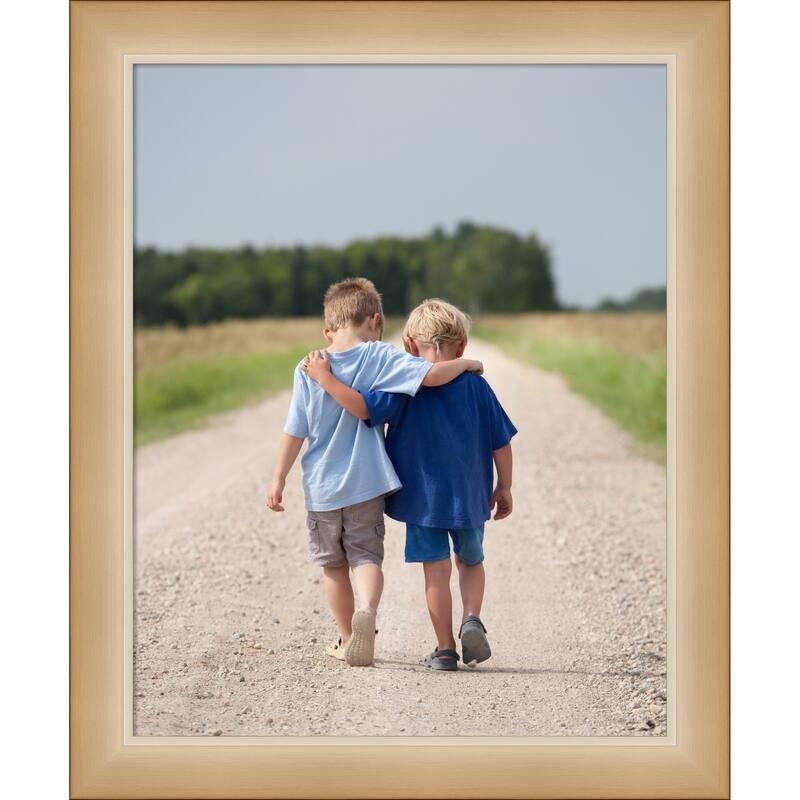 Eva Black Silver Narrow Framed Picture Frame, Photo Frame - 16x20 - Eva Ombre Gold Narrow