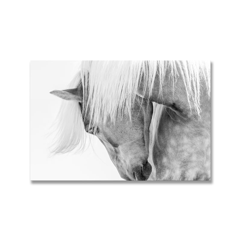 "Halflinger Portrait" Framed Print Wall Art by Kimberly