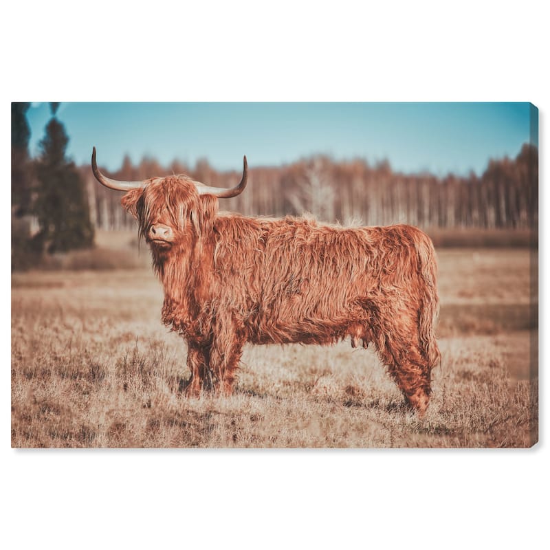 Wynwood Studio Canvas Animals Modern Farmhouse Cow Brown and Farmhouse Wall Art Canvas Print